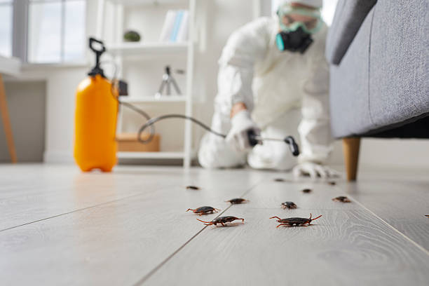 Trusted Fumigation Services service in Kingsland, GA - Nex Pest Control