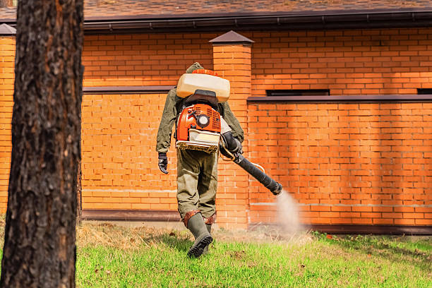 Trusted Termite Control service in Kingsland, GA - Nex Pest Control